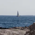 Milka Τρογκίρ